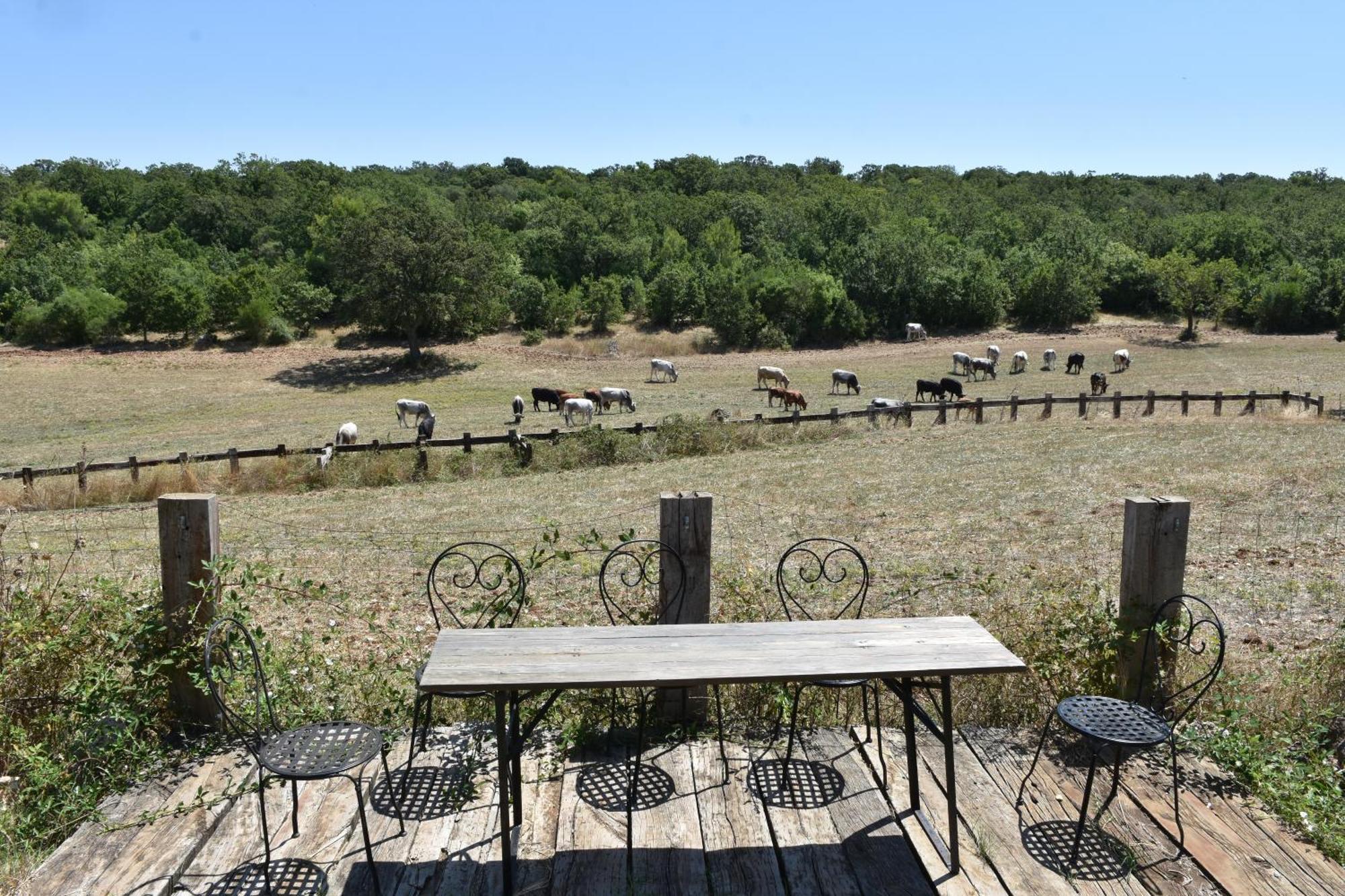 Masseria Brigare กัสซาโน เดลเล มูร์เจ ภายนอก รูปภาพ